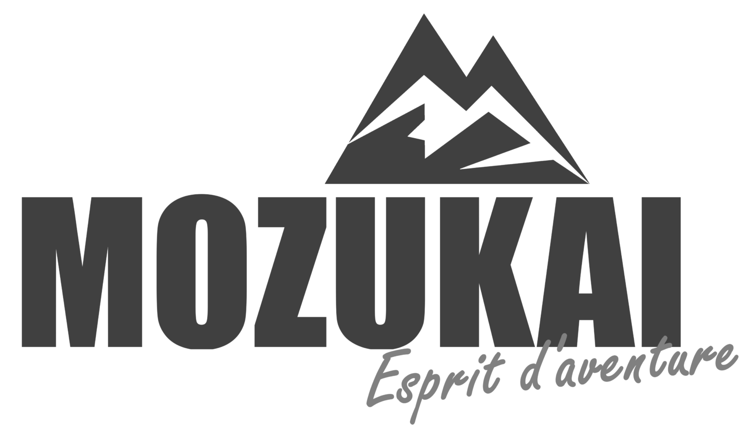 Logo gris MOZUKAI OFFICIEL
