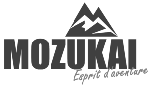 Logo gris MOZUKAI OFFICIEL
