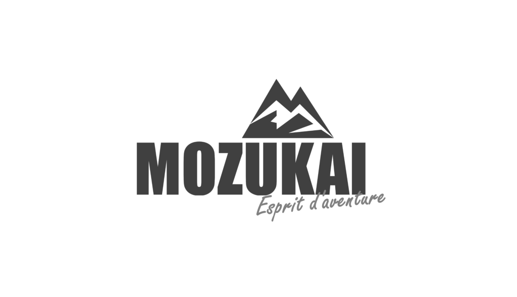 Logo gris MOZUKAI OFFICIEL v2